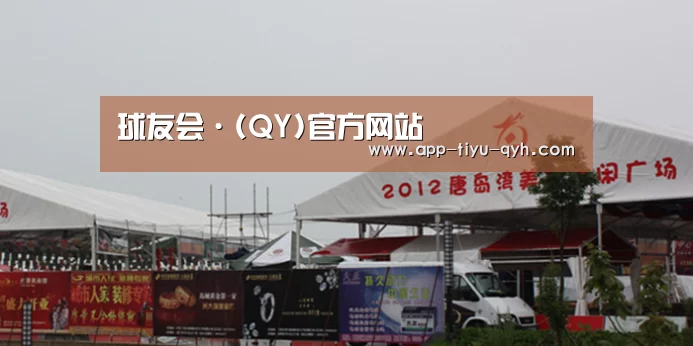 案例标题十