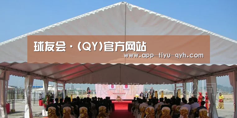 案例标题三